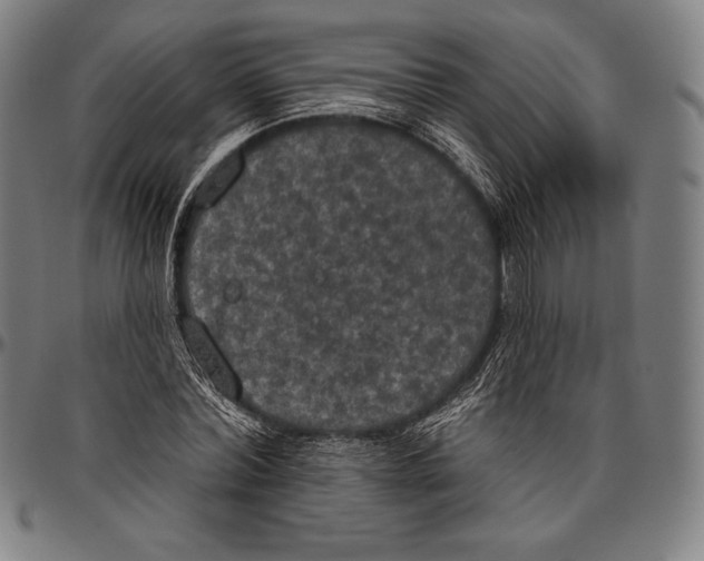 X0000096490780200802211237