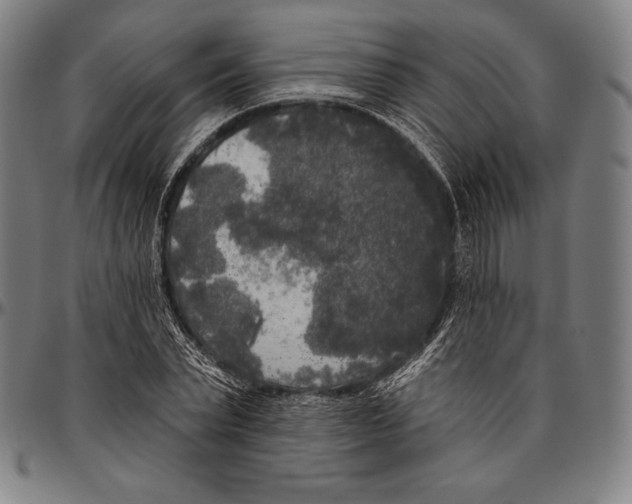 X0000096490783200802211236