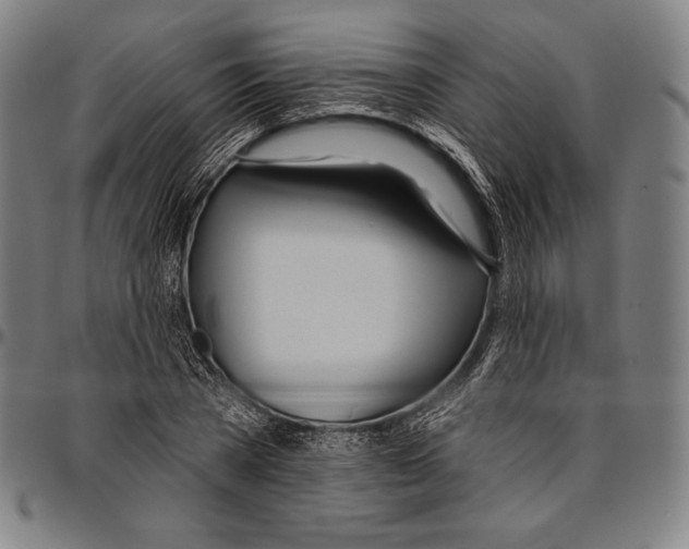 X0000096490785200802211236