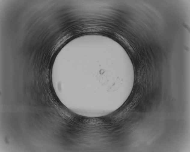 X0000096490786200802211236