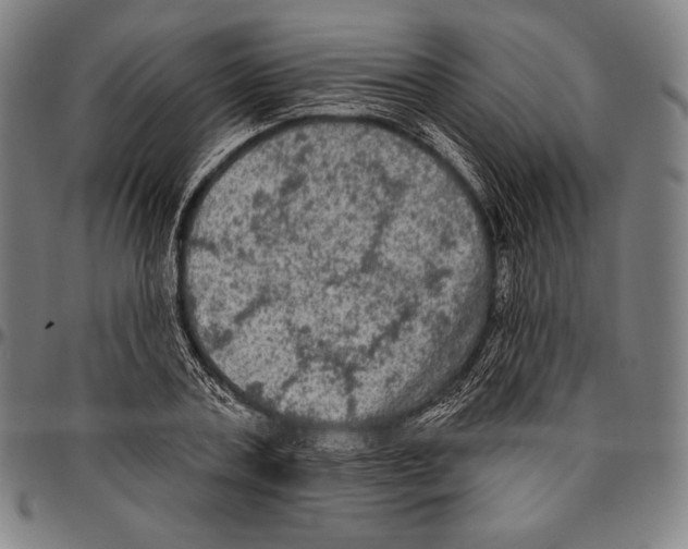 X0000096490787200802211236