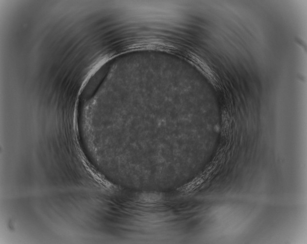 X0000096490788200802211236