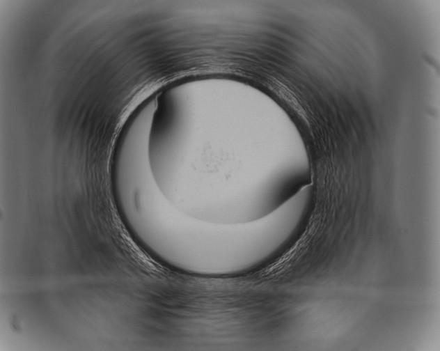 X0000096490789200802211236