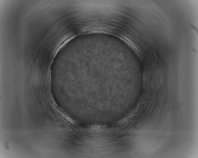 X0000096490790200802211236