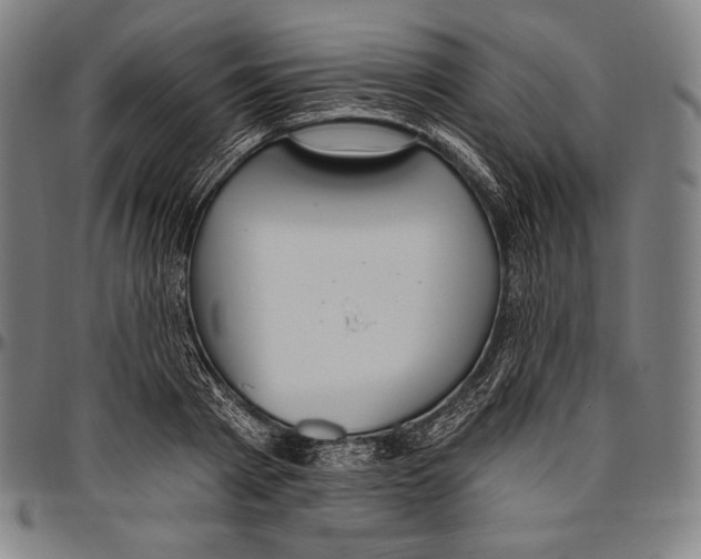 X0000096490793200802211236