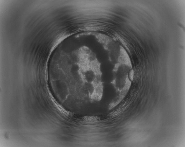 X0000096490795200802211236