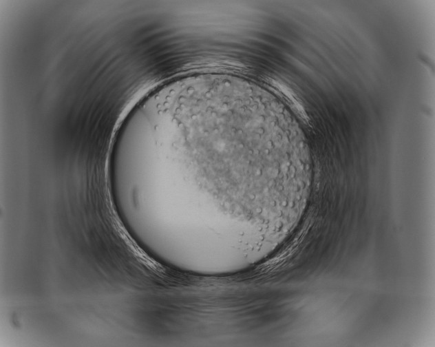 X0000096490796200802211236