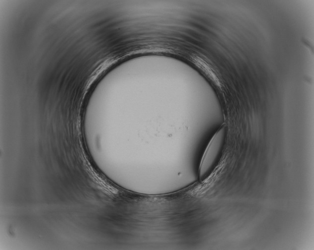 X0000096490797200802211236