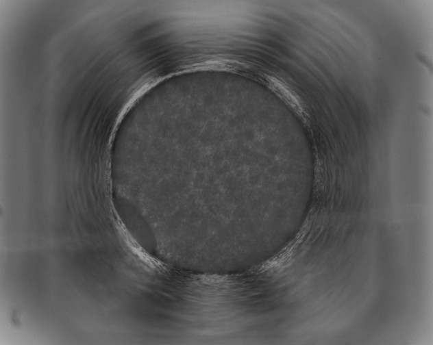 X0000096490800200802211236