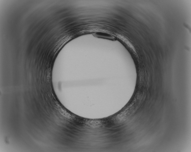 X0000096490801200802211236