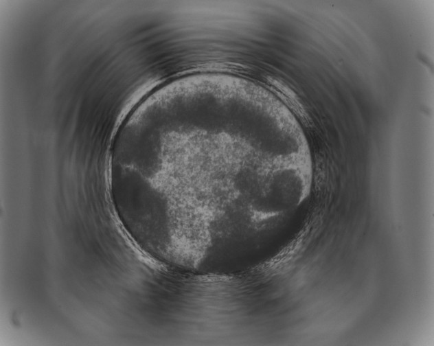 X0000096490804200802211236