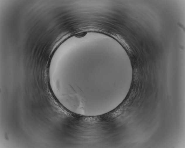 X0000096490806200802211236