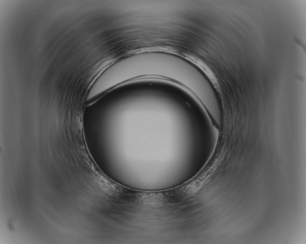 X0000096490809200802211236