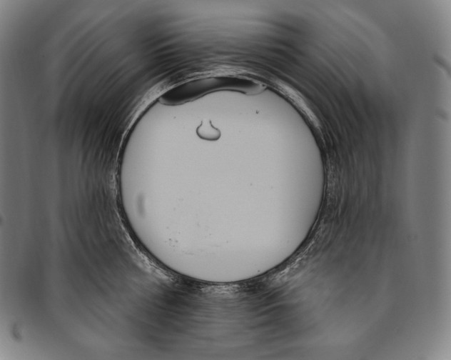 X0000096490810200802211236