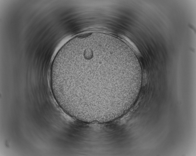 X0000096490812200802211236