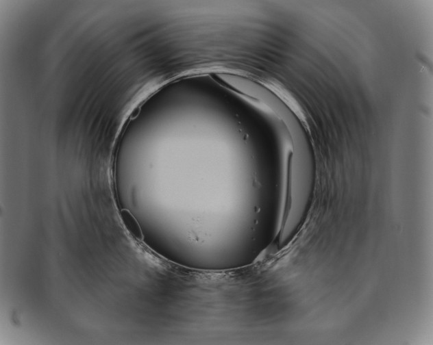 X0000096490813200802211236