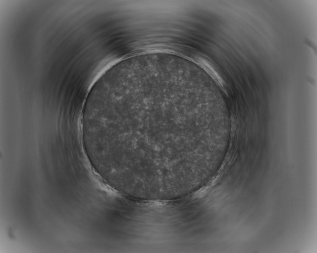 X0000096490814200802211236