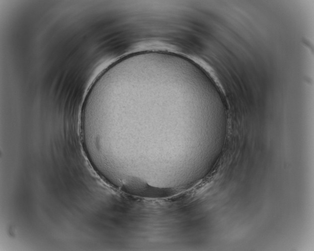 X0000096490815200802211236