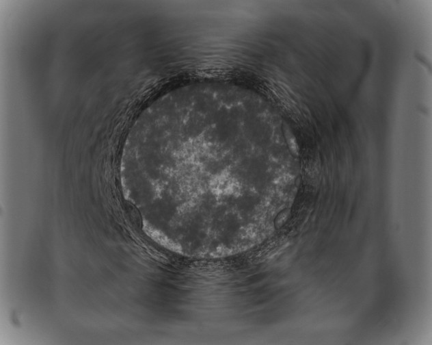 X0000096490817200802211235