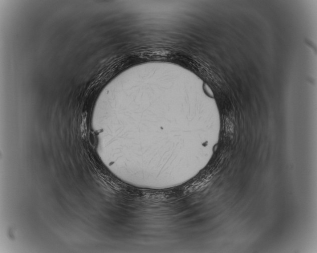 X0000096490818200802211235