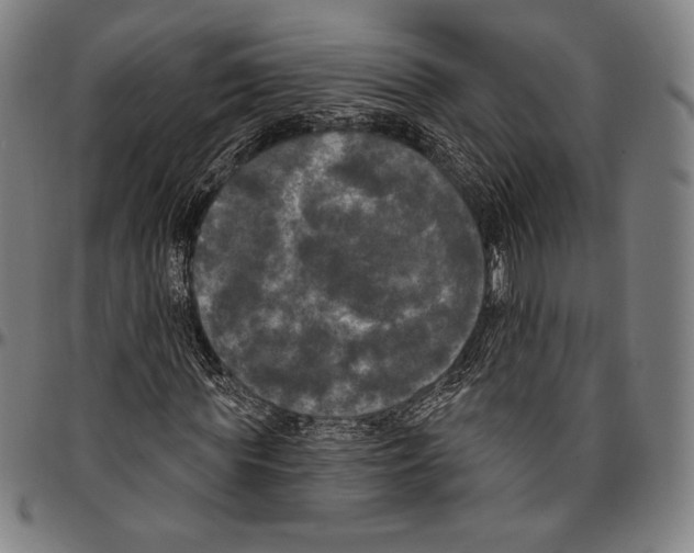 X0000096490819200802211235