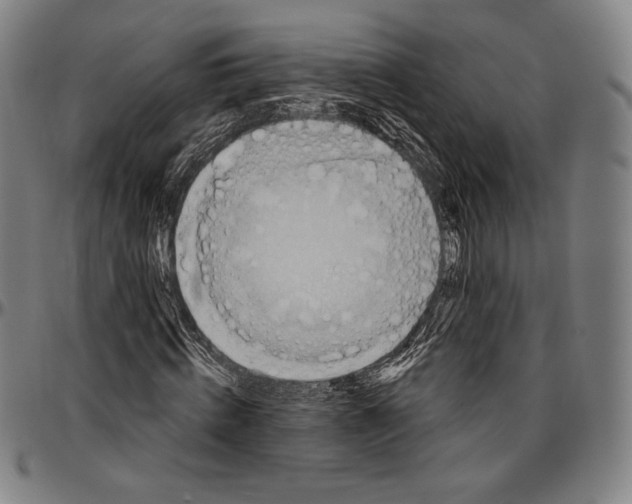 X0000096490820200802211235