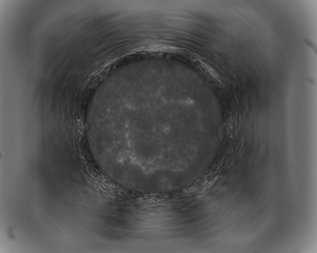 X0000096490821200802211235