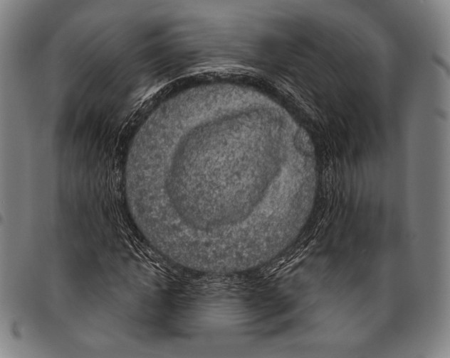 X0000096490822200802211235