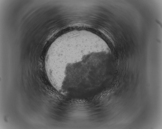 X0000096490823200802211235