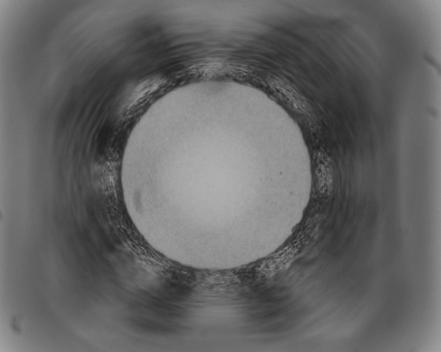 X0000096490824200802211235