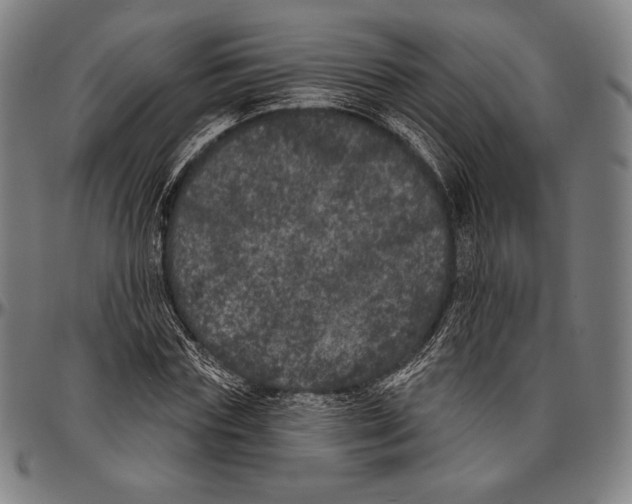 X0000096490827200802211235