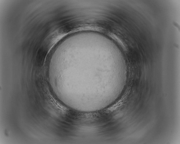 X0000096490828200802211235