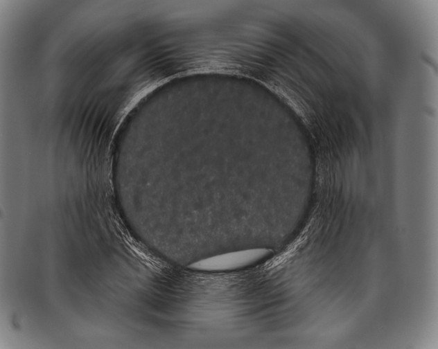 X0000096490830200802211235