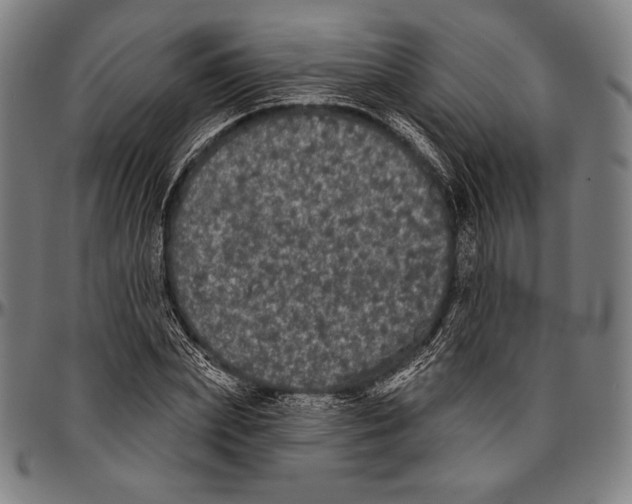 X0000096490831200802211235