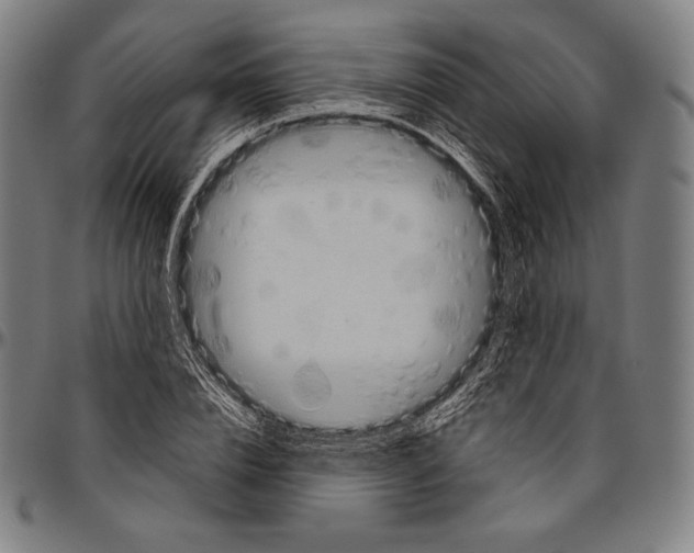 X0000096490832200802211235