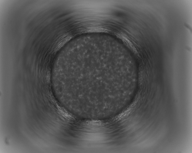 X0000096490833200802211235