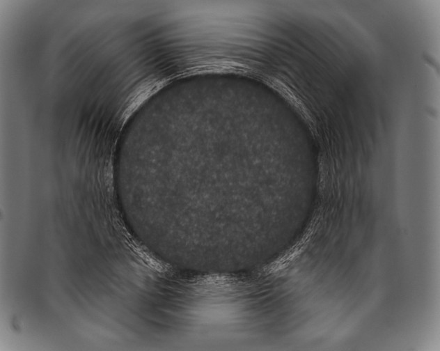 X0000096490834200802211236