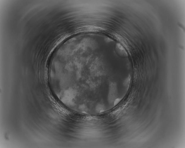 X0000096490835200802211236