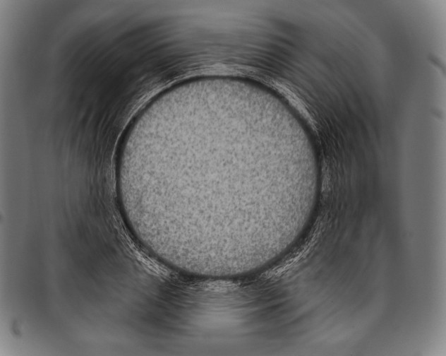 X0000096490837200802211236