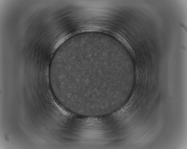 X0000096490842200802211236