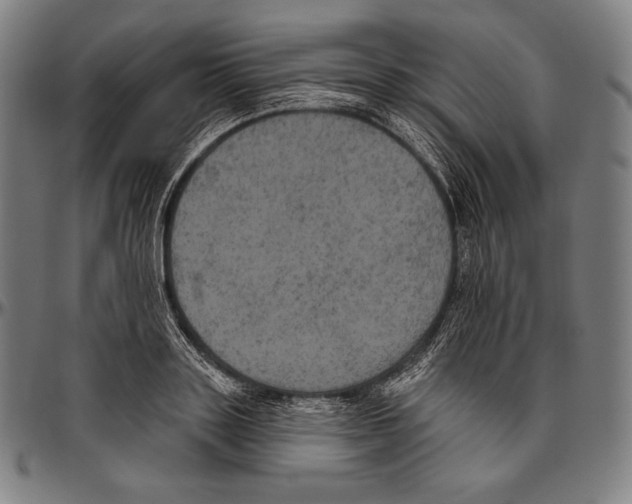 X0000096490843200802211236