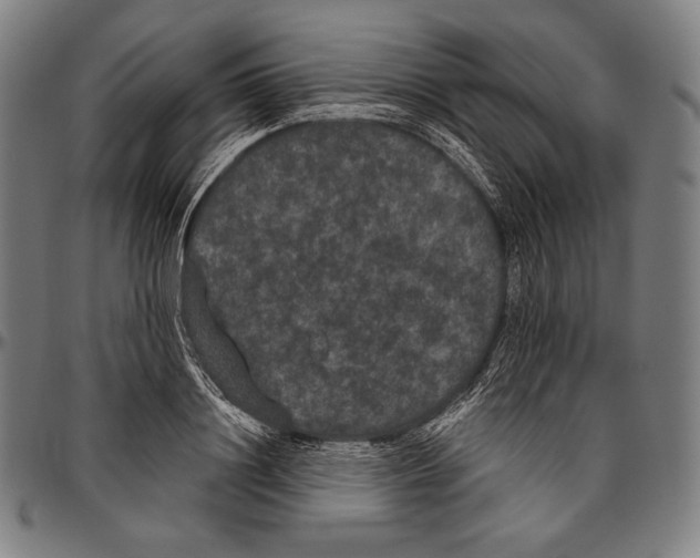 X0000096490844200802211236