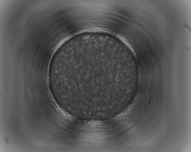 X0000096490845200802211236