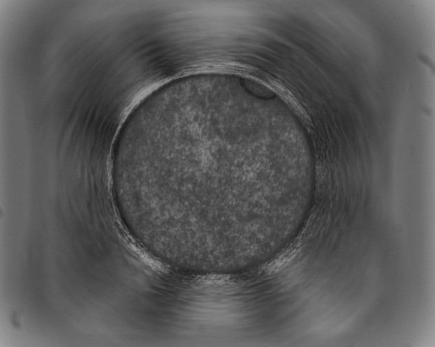 X0000096490846200802211236