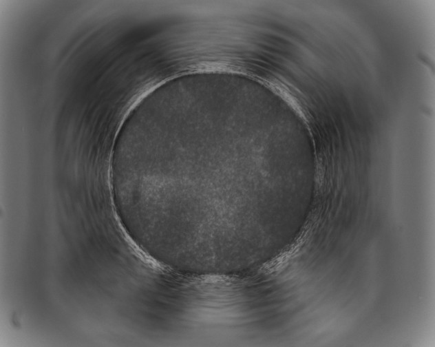 X0000096490847200802211236