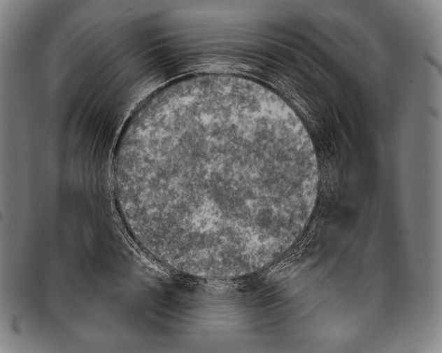 X0000096490848200802211236