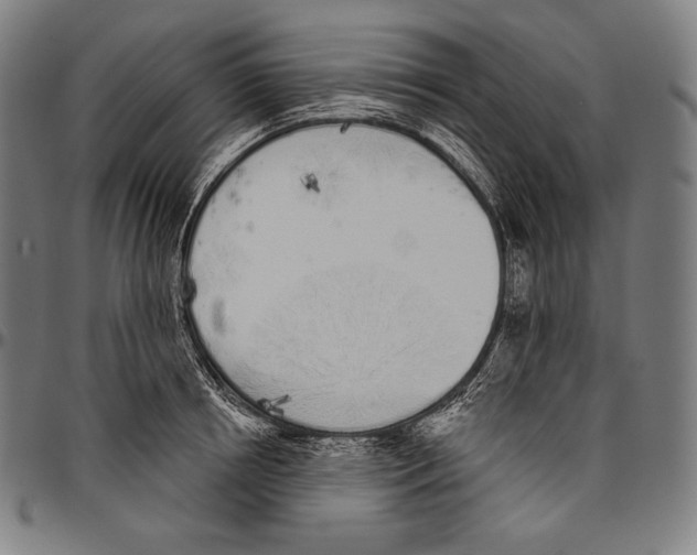 X0000096490850200802211236