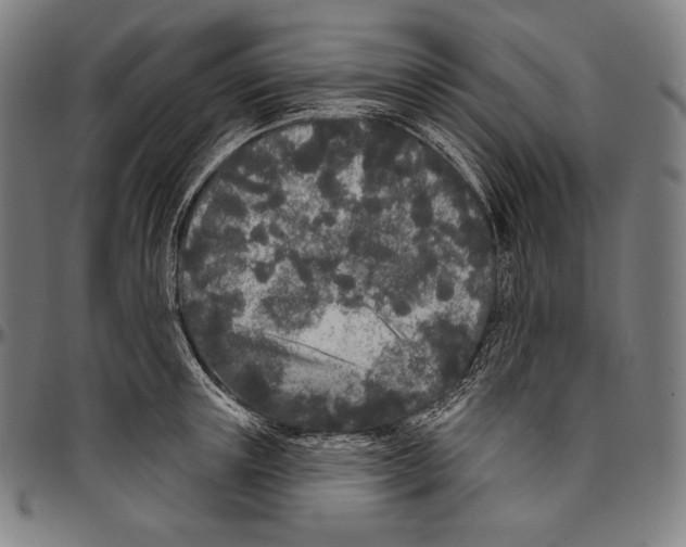 X0000096490851200802211236