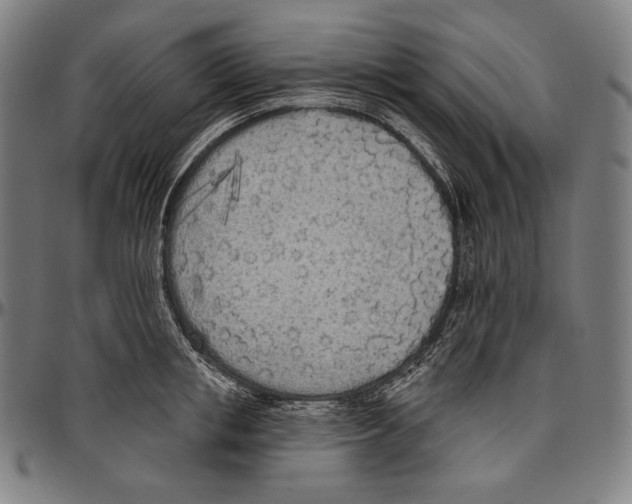 X0000096490853200802211236
