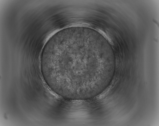 X0000096490854200802211236